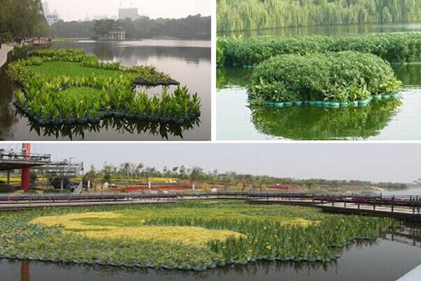 河流湖泊生态修复治理